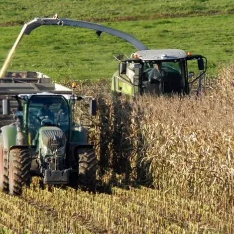 Oettersdorfer AG - Plantation