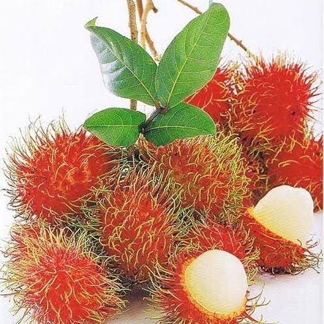 Peeled Rambutan