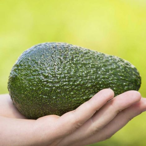 Exportadora Fruta Austral Ltda. - Product