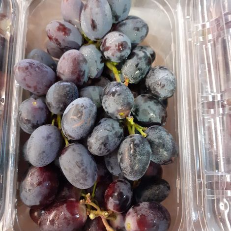 [Agrorizao]_[Grape]