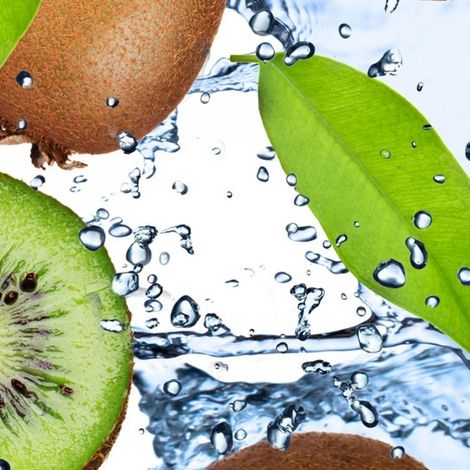 A.S.E.A ARGICULTURAL COOPERATION OF KIWI EXPLOITATION