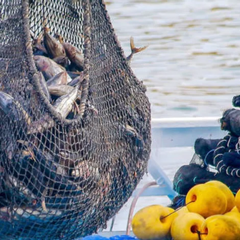 Southwind Foods, LLC