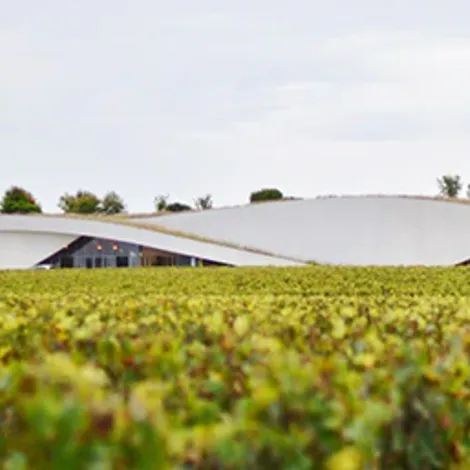Château Cheval Blanc