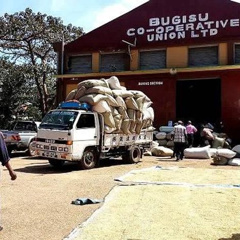 Bugisu Cooperative Union Ltd - Facility