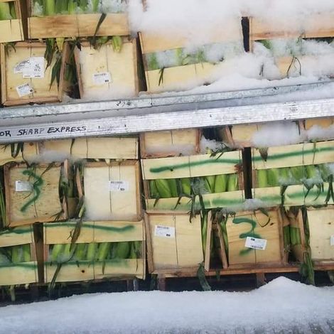 Wilkinson-Cooper Produce Inc - Packed Products