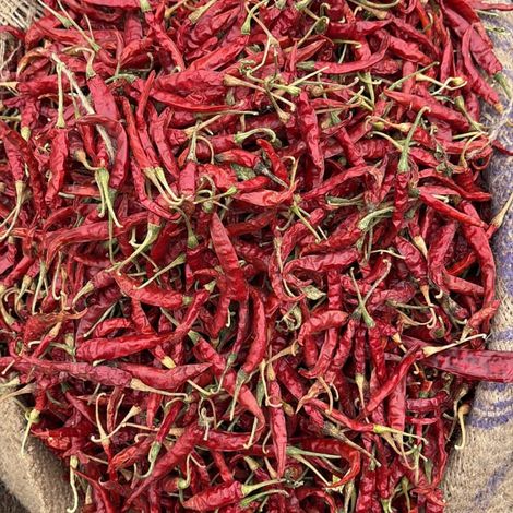 Dried Red Chillies