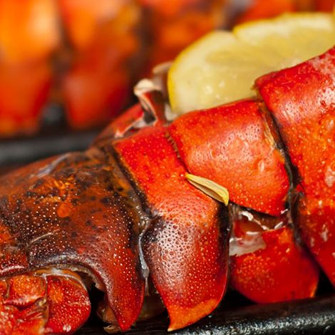 Shediac Lobster Shop Ltd.