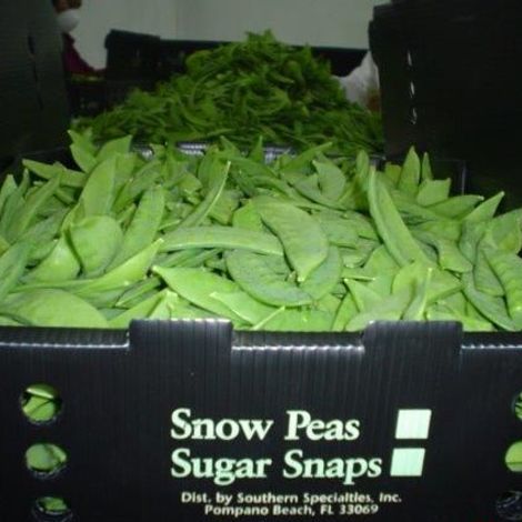 galeria-peruvian-exportacion-agro-peru-20.jpg
