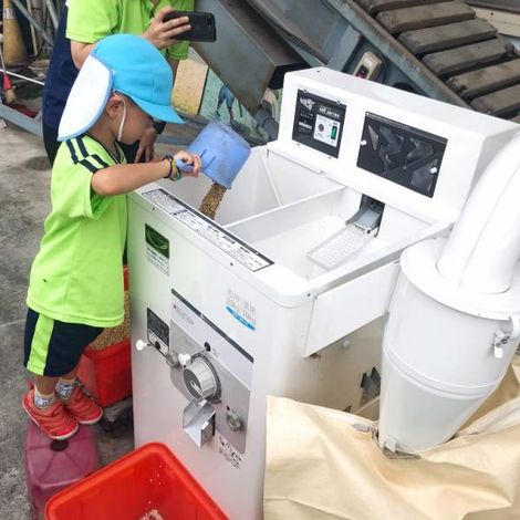 Hongchang Rice Mill - Production