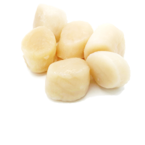 coquilles_20211129090044.png