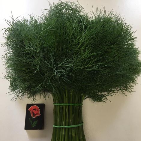 Dill and parsley