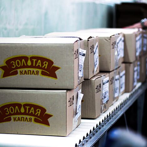 zolotaya-kaplya.jpg