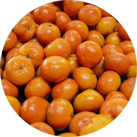 BIOSENSES ORGANIC CITRUS, RIOTINTO FRUIT COMPANY