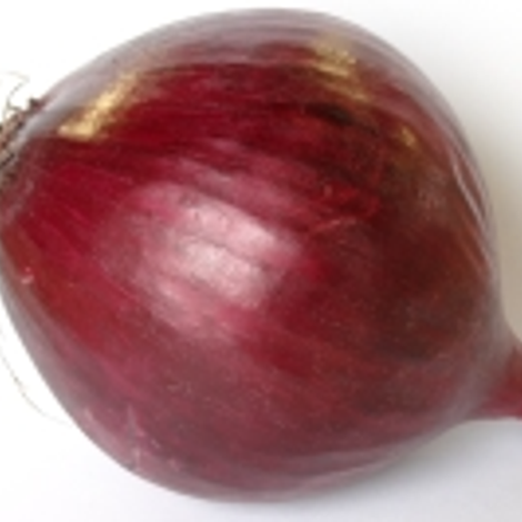 Spinger Gemüseverarbeitunsges. mbH