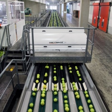 Obst Goessl Obstgrosshandel - Production