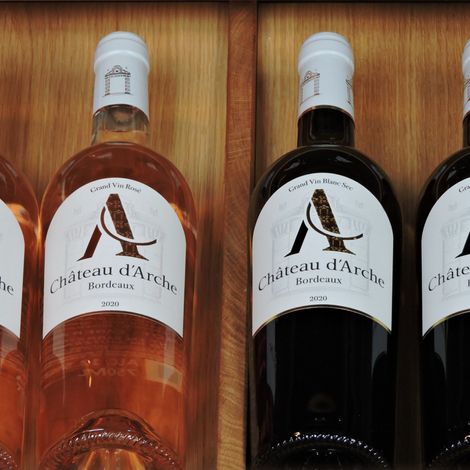 Château d'Arche - Wines