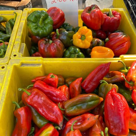 D.W. Sturt & Company