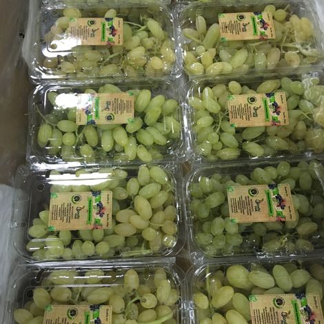 grapes