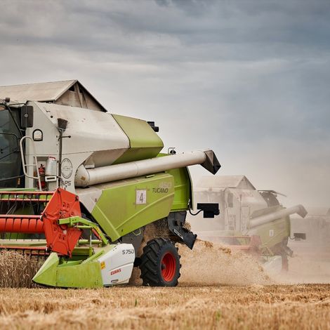 Harvest