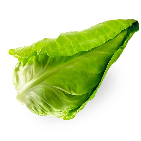 Valfresh Lda.