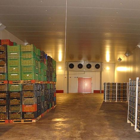 Atlas Fruit S.A.