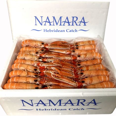 KALLIN SHELLFISH LIMITED