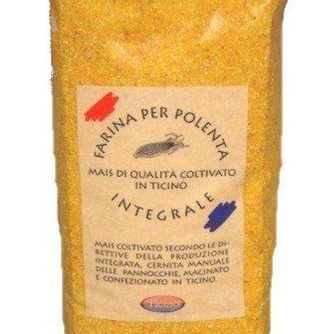 The Paolo Bassetti company