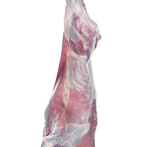 Beef Carcass