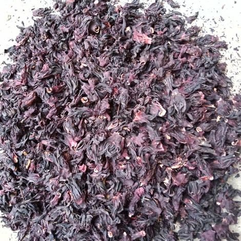 Hibiscus