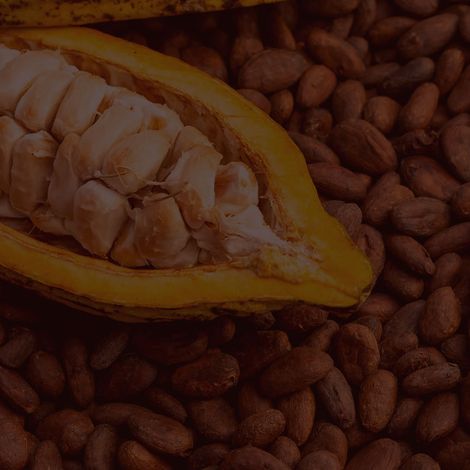 ASOCIACION NACIONAL CACAOTERA DE COLOMBIA