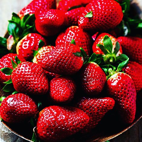 Fruiti Fresh Pvt Ltd.