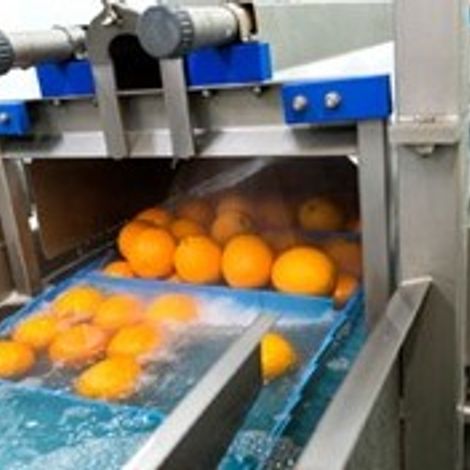 Frujuca S.A. - Facility