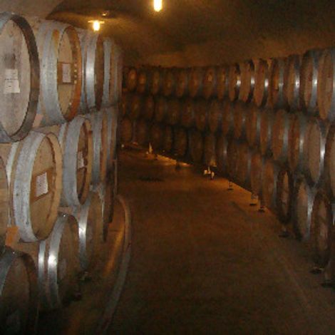 Barrel of wines