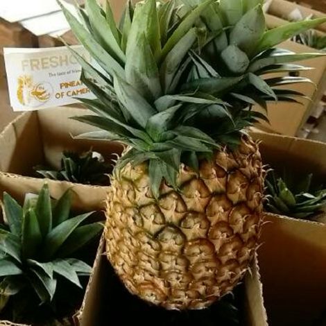 Pineapple Sweet cayenne
