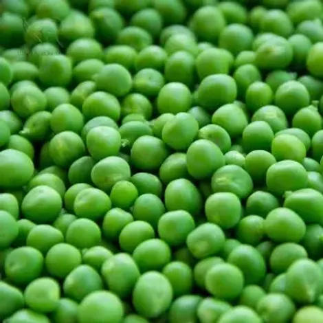 IQF-green-peas2-1111-300x300.webp