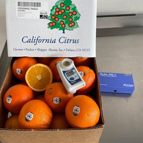 Hronis_Navel_56_Brix