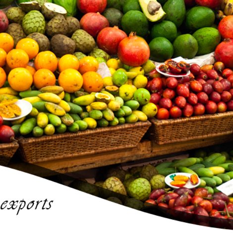 Pearl Safari Imports And Exports