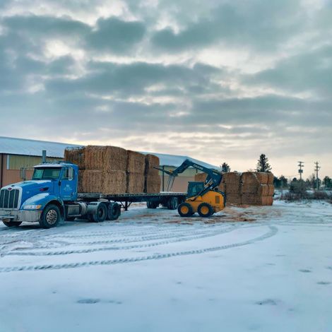 Silver Reef Organic Farms, LLC