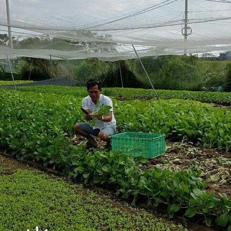 Minh Thanh Food Company Limited