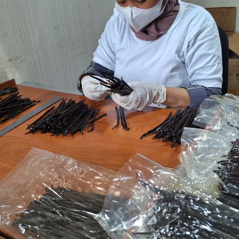 Sorting Process Vanila