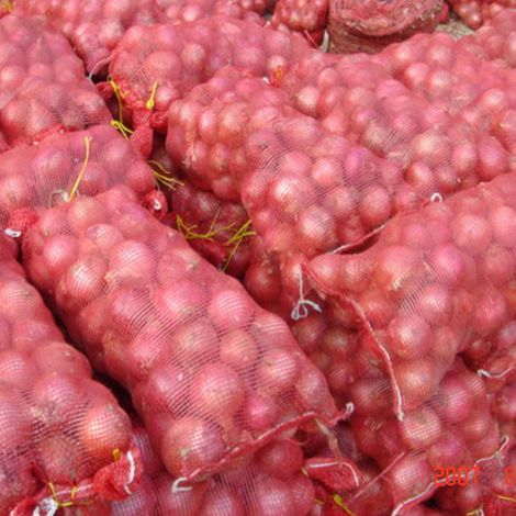 Publika Vege Distribution
