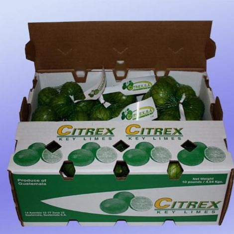 CITREX, SA