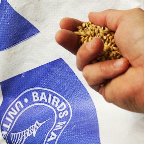 Bairds Malt Limited