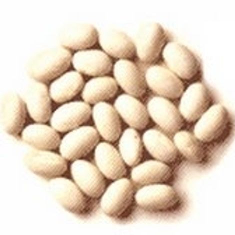 NavyBeans-medium.jpg