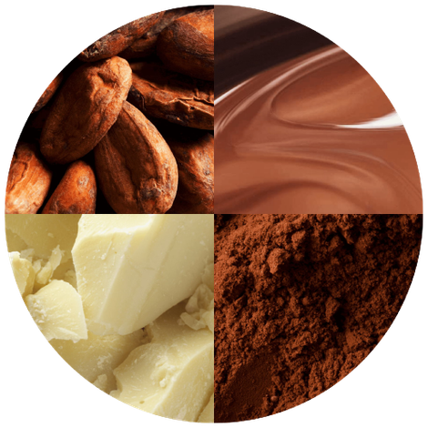 cocoa-expertise.png