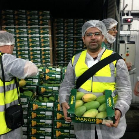 Exporting Mangoes to the UK