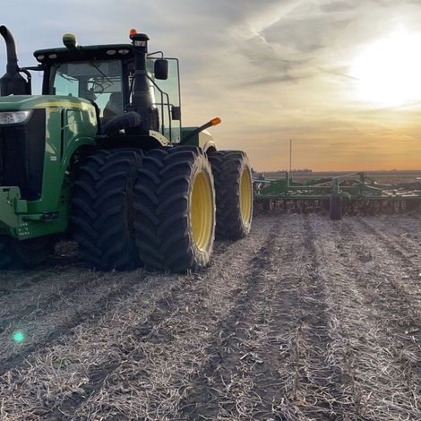 Merschman Seeds - Plantation