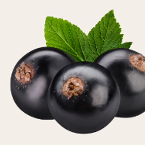 black currants