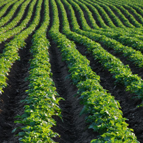 Screen Shot 2022-11-22 at 7.54.38 AM.png