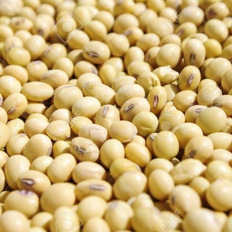 Kimberley Grain Commodities (Pty) Ltd p